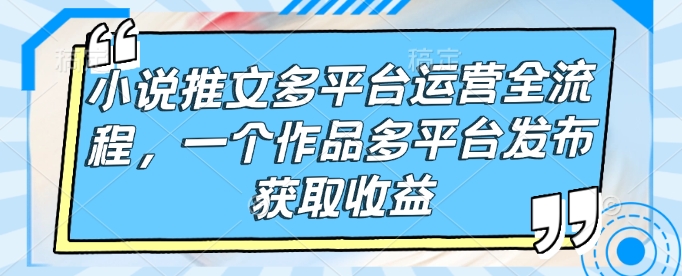 小说推文多平台运营全流程，一个作品多平台发布获取收益-连烟牍库