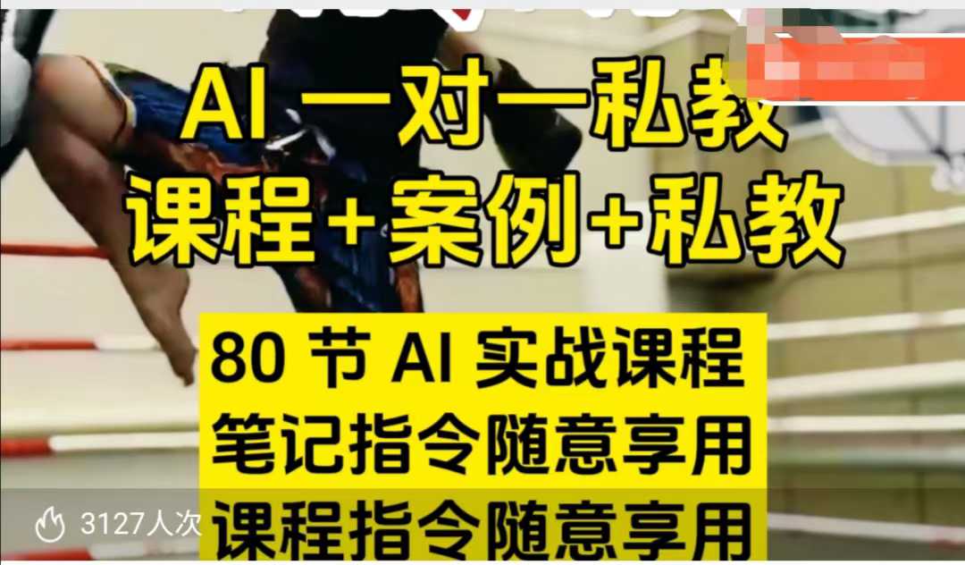 AI指令实战课，课程+案例，80节AI实战课程，笔记指令随意享用，课程指令随意享用-连烟牍库