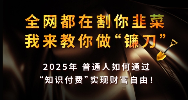 全网都在割你韭菜，我来教你做镰刀，2025年普通人如何通过 知识付费 实现财F自由【揭秘】-连烟牍库