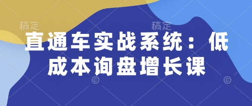 直通车实战系统：低成本询盘增长课，让个人通过技能实现升职加薪，让企业低成本获客，订单源源不断-连烟牍库