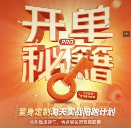 淘宝开单秘籍PRO，量身定制淘天实战陪跑计划，告别做店迷茫、快速突破运营瓶颈期-连烟牍库