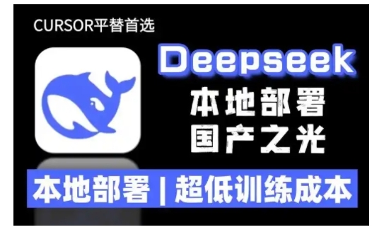 2025年deepseek R1 大型模型本地安装部署(文件+教程)本地部署，超低训练成本-连烟牍库