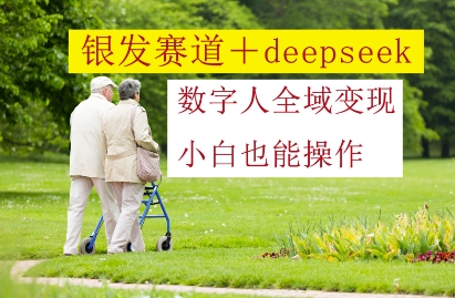 银发赛道+deepseek数字人全域变现，小白也能操作-连烟牍库