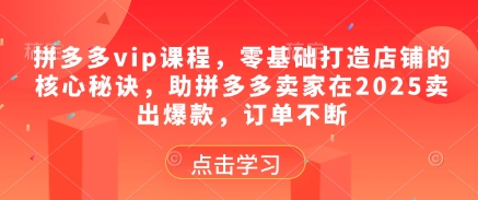 拼多多vip课程，零基础打造店铺的核心秘诀，助拼多多卖家在2025卖出爆款，订单不断-连烟牍库