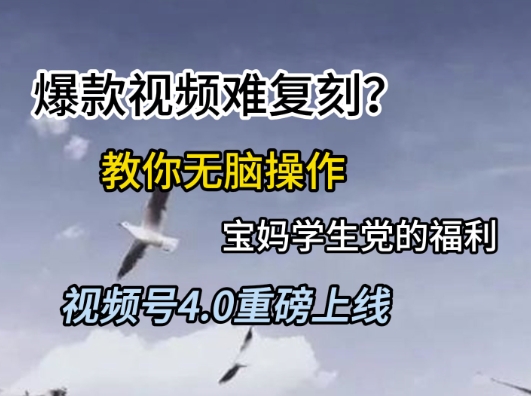 视频号4.0重磅上线，爆款视频难复刻？教你无脑操作宝妈学生党的福利【揭秘】-连烟牍库