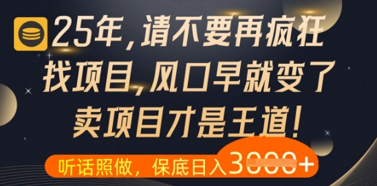 什么？25年你还在疯狂找项目做，醒醒吧，看完这些你全都懂了【揭秘】-连烟牍库