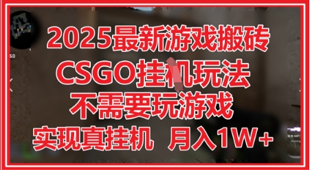 2025最新游戏搬砖，CSGO挂G，不需要玩游戏，实现真挂G，月入1W+【揭秘】-连烟牍库
