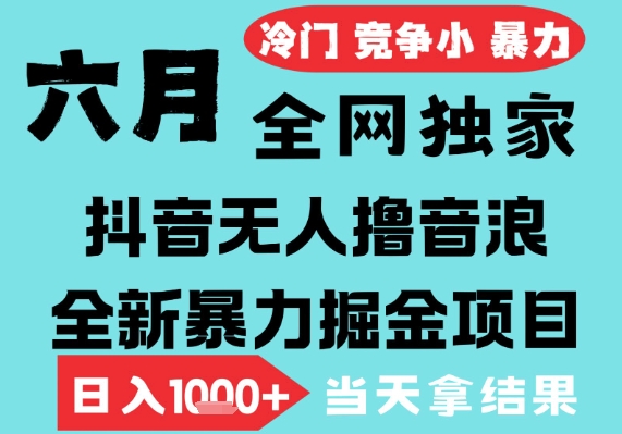 2025年6月高爆抖音无人直播最新撸音浪掘金项目，无脑日入1k+，低门槛小白可做，可矩阵放大【揭秘】-连烟牍库