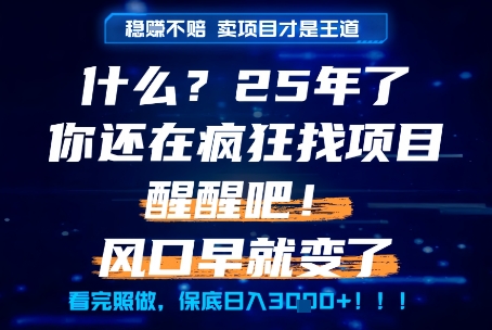 什么？25年你还在疯狂找项目做，醒醒吧，看完这些你全都懂了！【揭秘】-连烟牍库