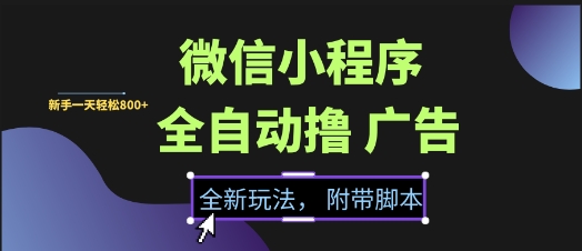微信小程序全自动撸广告项目，彻底解决没流量的问题，新手一天8张+【揭秘】-连烟牍库