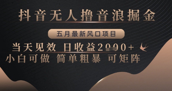 抖音无人撸音浪掘金，五月最新风口项目，当天见效，日收益多张，小白可做简单粗暴可矩阵【揭秘】-连烟牍库