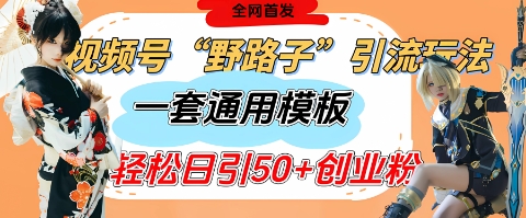 视频号“野路子”玩法，评论区疯狂截流，一套模板单日单号引流50+创业粉-连烟牍库