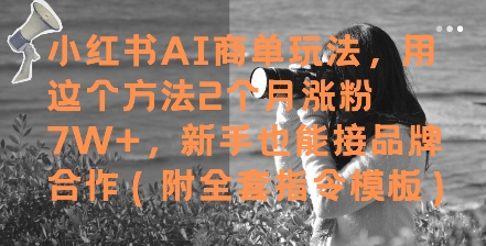 小红书AI商单玩法，用这个方法2个月涨粉7W+，新手也能接品牌合作(附全套指令模板)-连烟牍库