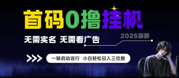 首码0撸挂G项目，无需实名无需看广告 一键启动运行，小白轻松日入三位数【揭秘】-连烟牍库