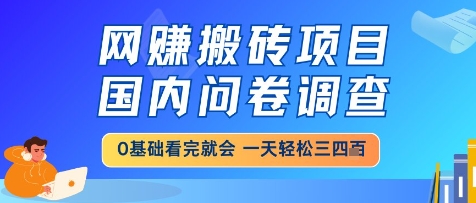 网创搬砖项目，国内问卷调查，小白轻松上手，一天三四张的也不难，干就完了【揭秘】-连烟牍库