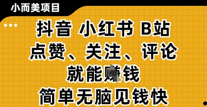 小而美的项目，抖音小红书B站视频点赞、关注、评论就能挣钱，简单无脑立见收益，妥妥的零撸项目【揭秘】-连烟牍库