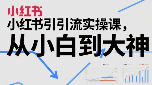 小红书引流实操课，从小白到大神-连烟牍库