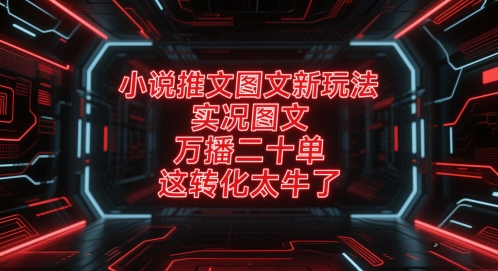 小说推文图文新玩法，实况图文，万播二十单，这转化太牛了！-连烟牍库