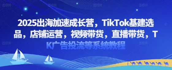 2025出海加速成长营，TikTok基建选品，店铺运营，视频带货，直播带货，TK广告投流等系统教程-连烟牍库