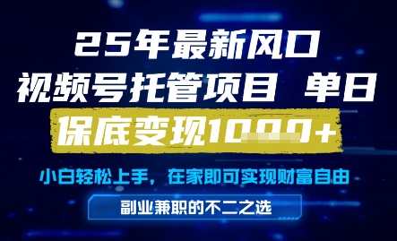 25年最新风口，视频号托管项目，单日保底变现1k+，手把手教学【揭秘】-连烟牍库