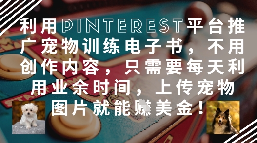 利用Pinterest平台推广宠物训练电子书，不用创作内容，只需要每天利用业余时间，上传宠物图片就能挣美金!-连烟牍库