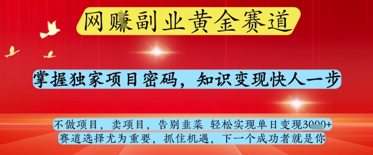 网创副业黄全赛道，掌握独家项目密码，知识变现快人一步，告别韭菜轻松实现单日变现1k+【揭秘】-连烟牍库