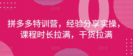 拼多多特训营，经验分享实操，课程时长拉满，干货拉满(更新25年4月)-连烟牍库
