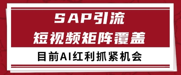 小红书某音sap赛道引流获客 自热矩阵日引200+【揭秘】-连烟牍库