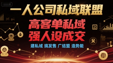 一人公司私域联盟，高客单私域，强人设成交，建私域 搞发售 广结盟 造势能-连烟牍库