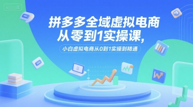 拼多多全域虚拟电商从零到1实操课，小白虚拟电商从0到1实操到精通-连烟牍库