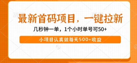 最新首码项目，操作最简单，收益高，一键拉新，1个小时单号可50+，小项目认真做每天5张+收益【揭秘】-连烟牍库