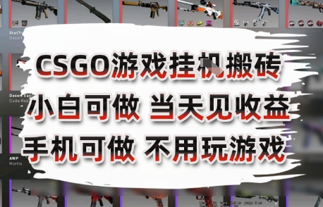 CSGO游戏挂G搬砖，小白纯手机即可操作，不用电脑打游戏，日入3张+，副业网创项目【揭秘】-连烟牍库