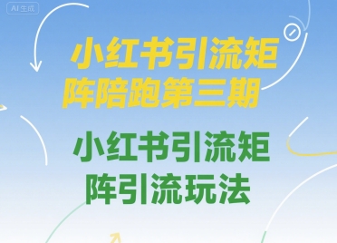 小红书引流矩阵陪跑第三期，小红书引流矩阵引流玩法-连烟牍库