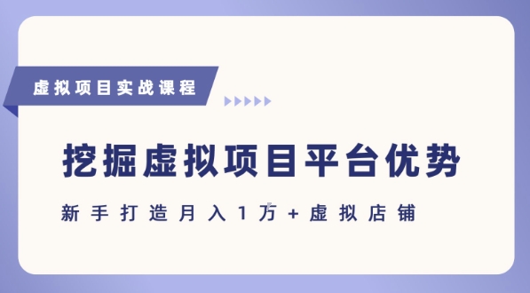 抓住虚拟项目各平台优势，新手轻松月入1W+(给出具体建议)-连烟牍库