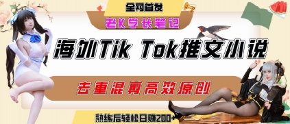 海外tiktok小说推文暴力项目，高停留率，高转化率，上手后一天搞顿饭钱不是问题-连烟牍库