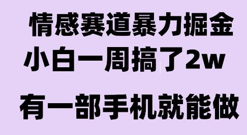 情感暴力掘金项目，新人操作一周挣了2W，长期稳定小白可做【揭秘】-连烟牍库