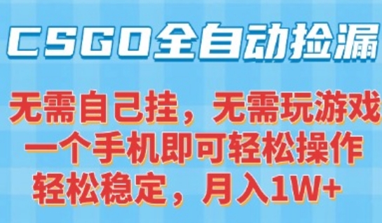 CSGO自动捡漏项目，最新独家玩法，一个手机可操作，新手小白轻松月入1W+，操作简单易上手【揭秘】-连烟牍库