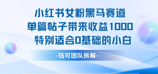 小红书女粉黑马赛道单篇帖子带来收益1k+，特别适合0基础的小白-连烟牍库