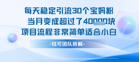 每天稳定引流30个人 当月变成超过了4个W项目流程非常简单适合小白-连烟牍库
