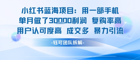 小红书蓝海项目，一部手机单月做了3W利润，小白也能月入过1W用户认可度高成交多-连烟牍库