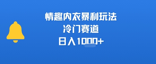 情趣内衣暴利玩法，冷门赛道，日入1k+-连烟牍库