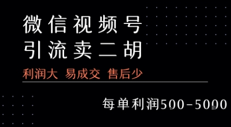 视频号卖二胡教程，利润大 易成交 售后少，一单利润5张+-连烟牍库