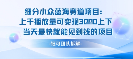 小众蓝海赛道项目：当天变现1k+适合新手操作 +适合长期玩-连烟牍库