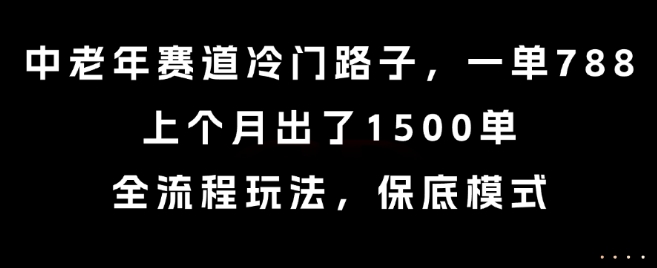 中老年赛道冷门路子，一单788，上个月出了1500单，全流程玩法，保底模式【揭秘】-连烟牍库