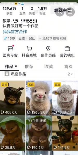 抖音65W博主AI萌宠课程，新赛道流量大，原创+二创，全套课程+提示词-连烟牍库