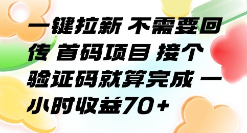 一键拉新 不需要回传 首码项目 接个验证码就算完成 一小时收益70+【揭秘】-连烟牍库