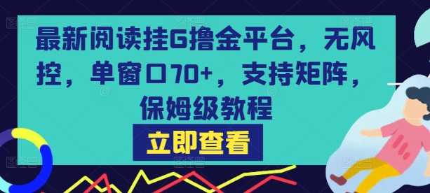 最新阅读挂G撸金平台，无风控，单窗口70+，支持矩阵，保姆级教程【揭秘】-连烟牍库