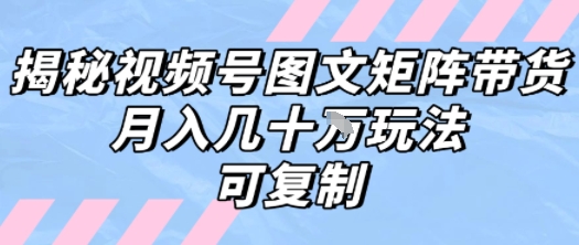 解密视频号图文矩阵带货，月入几个W的打法，可复制-连烟牍库